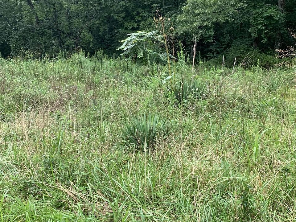 1st image of 6117 Running Creek Dr