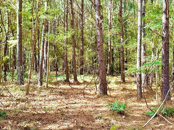 4th image of 9009 Raymond Rd