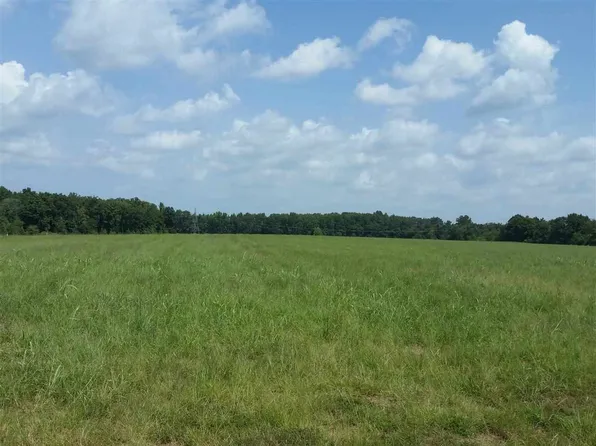 3300 Clay Pond Dr, Oakland, TN 38060