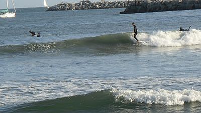  Surfing only a short walk