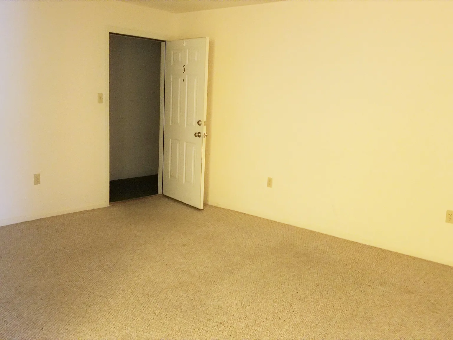 1 bed, $1,050 — Photo 2