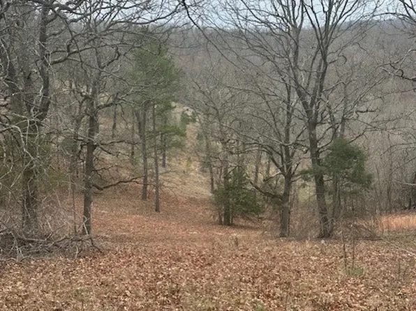 2 County Road 152, Eureka Springs, AR 72632