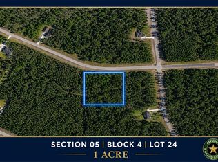 15813 Wood Grove Way Lot 24, Willis, TX 77378
