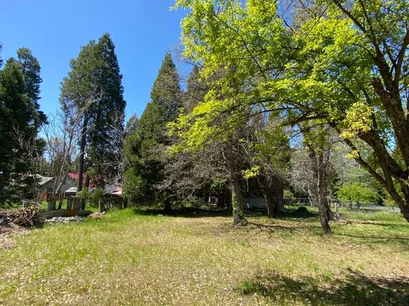 Lots 4 & 5 Berry St, Mount Shasta, CA 96067