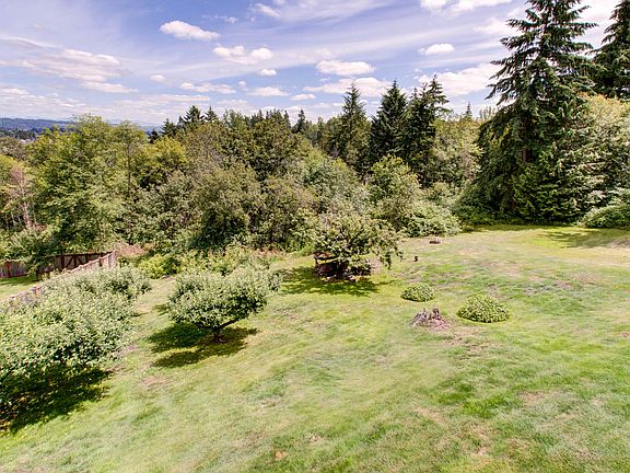 1+ acre lot with fruit trees