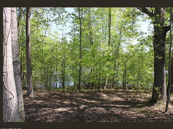 5th image of LOT 30 Emory Cove Dr