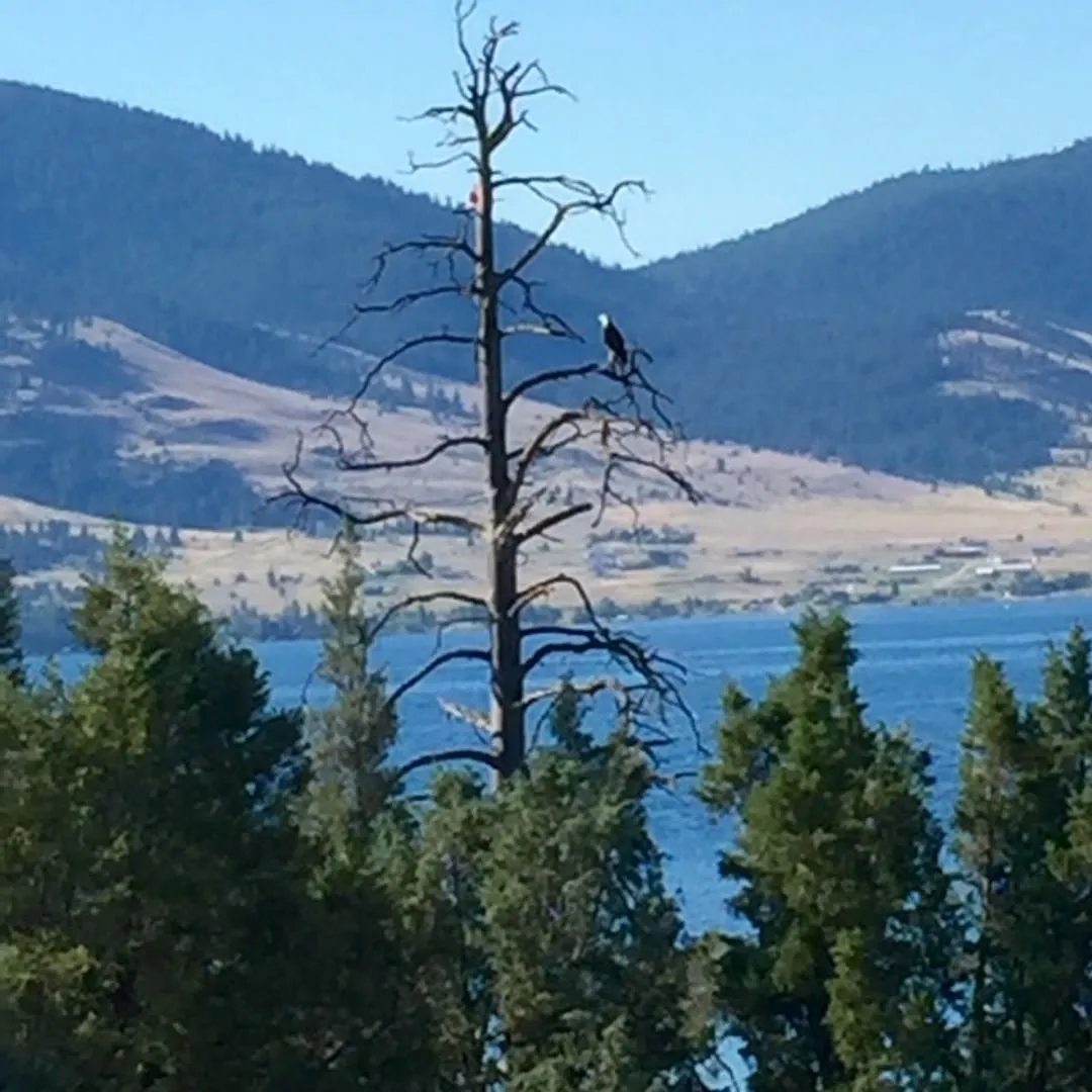 Lake Front Property with Orchard--Desired lease October 1st, 2026 thru May 31st 2027 (some flexib... — Photo 2