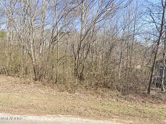 2nd image of Lake Forest Dr