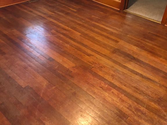 4th image of 1019 E Elm St