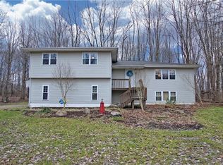 11800 Alpha Rd, Hiram, OH 44234