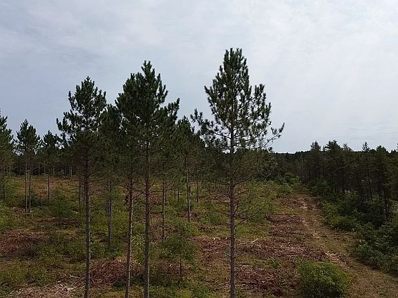 3rd image of 201X Tomahawk Lake Road