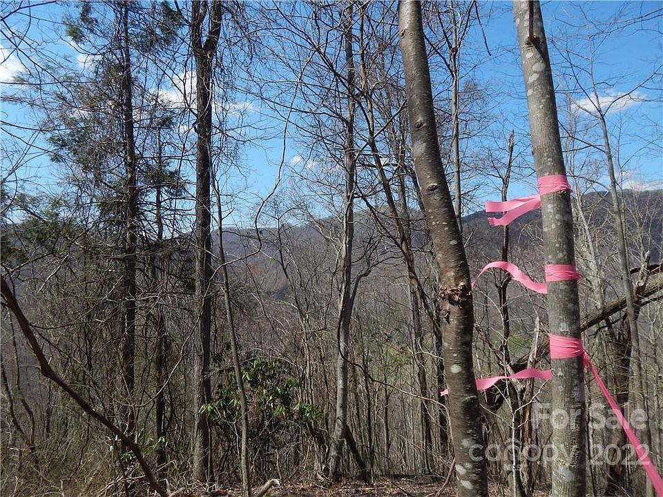 0 Gentry Farm Dr, Hot Springs, NC 28743 MLS 3662691 Zillow