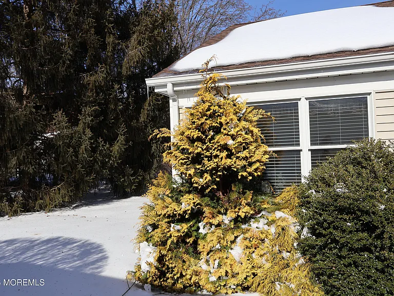 2409 Coral Leaf Rd — Photo 25