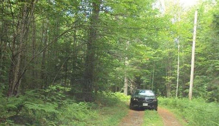 2nd image of 17 Rainbow Rd