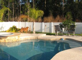 332 Sparrow Branch Cir, Saint Johns, FL 32259