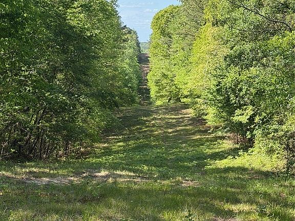 4th image of 16170 Tilly Branch Rd