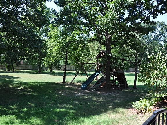 Back yard