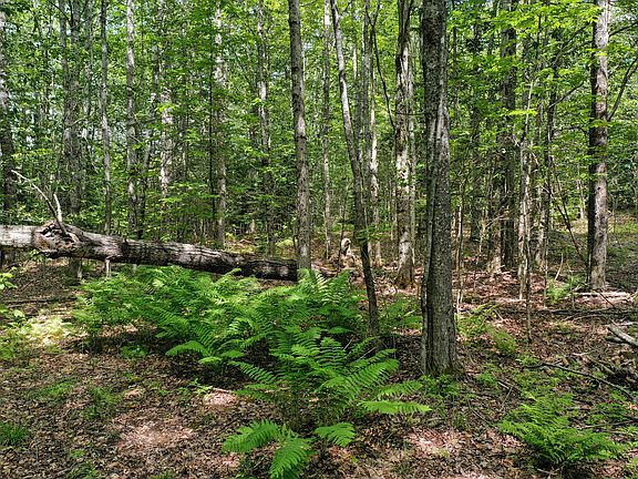 4th image of M5 L24 Goosepecker Ridge