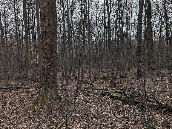 2nd image of 0 N Appalachian Dr