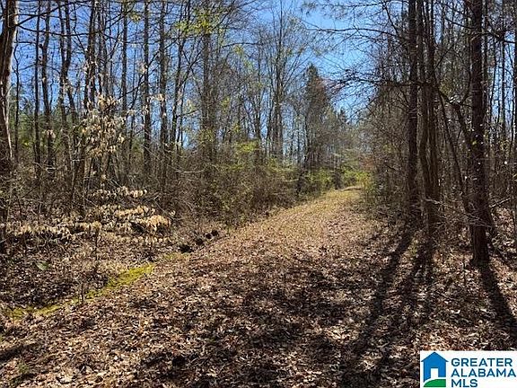 5th image of 825 County Road 79 Tract
