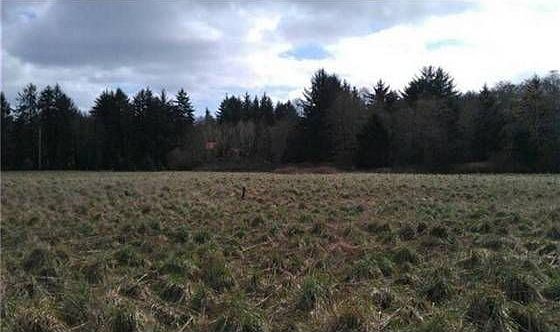 3rd image of 15 Dusty Ln