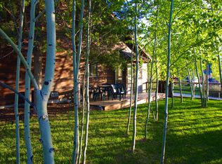 305 Locust Ct, Steamboat Springs, CO 80487