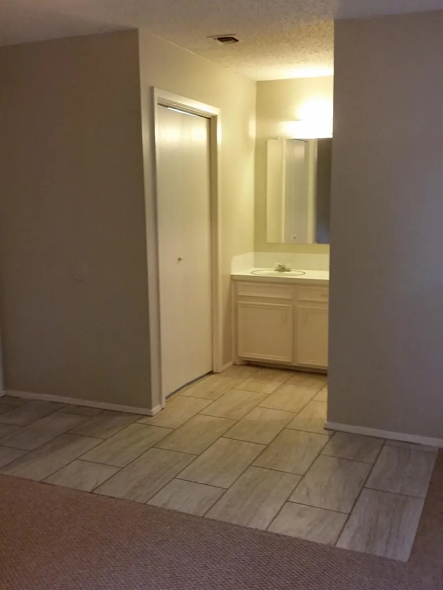 Master bathroom with new carpet and floor tile. - 1908 Valley Hill Cir