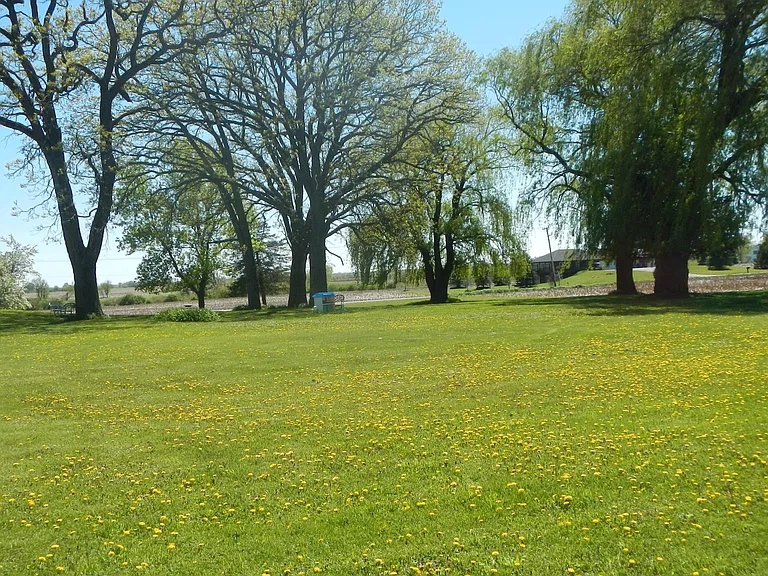 County Road Mn — Photo 36