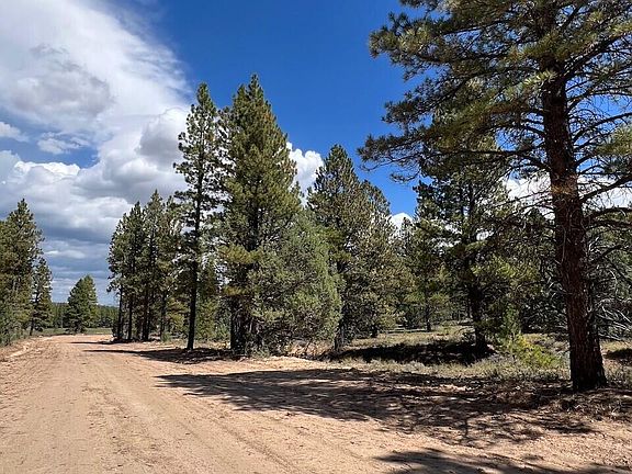 5th image of Elk Ridge Estates Phase 6 Lot 12