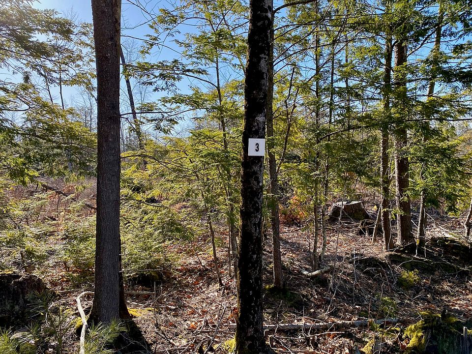 2nd image of Lot 3 Great Falls Road