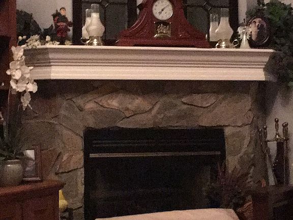 Fireplace in family room 
