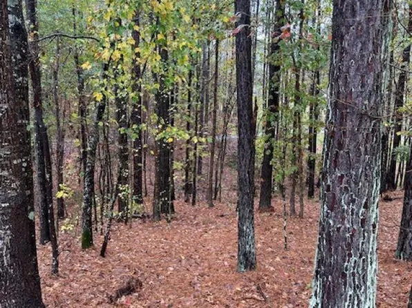 1 Chelsea Rd #1, Columbiana, AL 35051