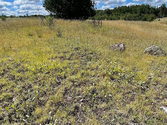 3rd image of Trout Ln