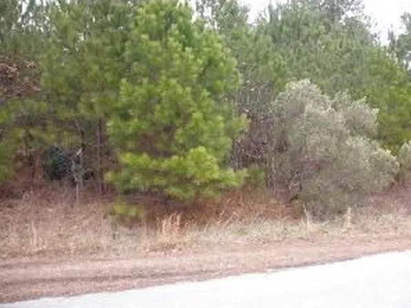 154 Sanatra Dr, Cameron, NC 28326