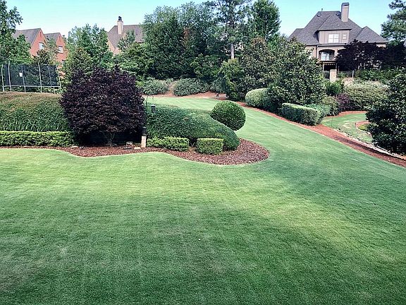 Back side yard 