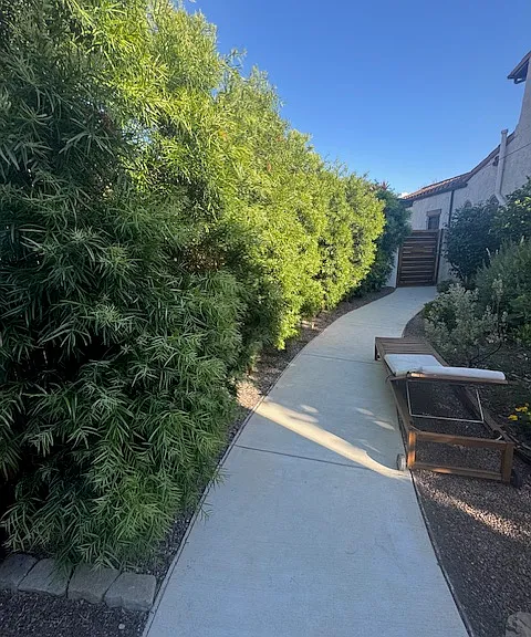 Recent photo of privacy fence