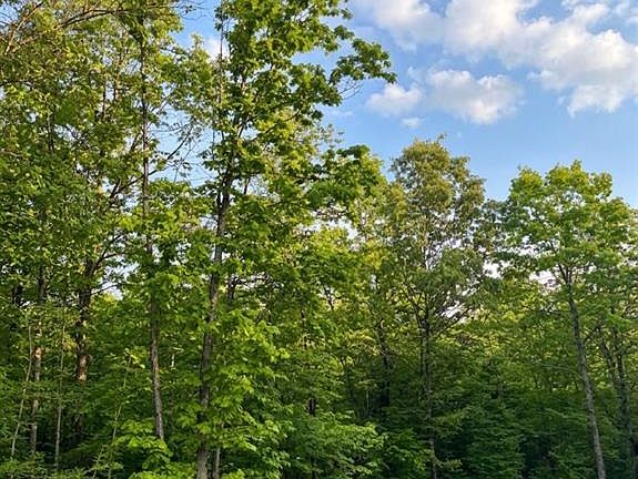 3rd image of 7 Vista Ridge Trail