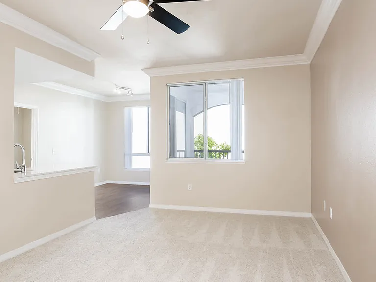 Carpeted Living Room