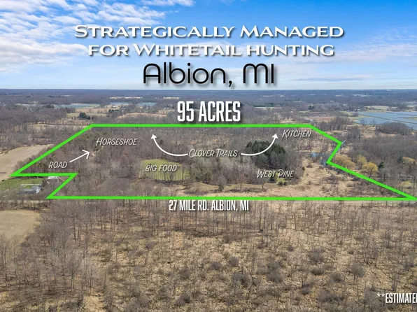 15252 27 Mile Rd, Albion, MI 49224