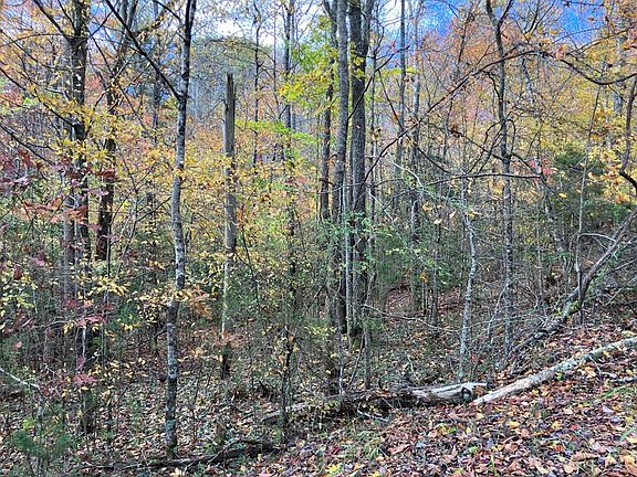 3rd image of 39-39A Hedden Stiles Rd