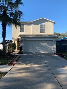18315 Snowdonia Dr, Land O Lakes, FL, 34638