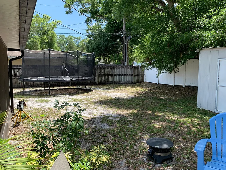 Back garden view
