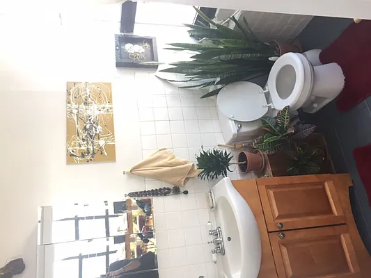 Rented by Carnegie Management Inc | media 5