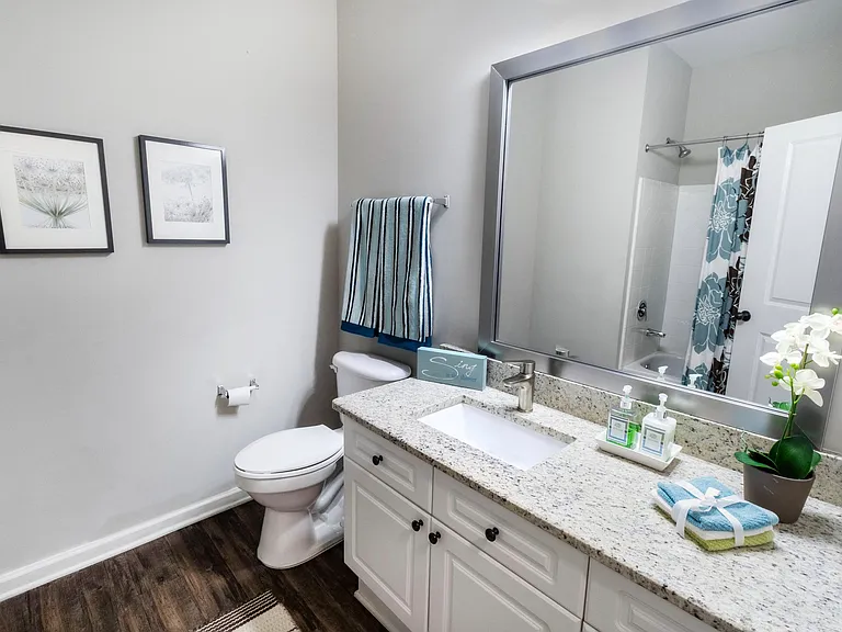 The Pointe at Suwanee Station — Photo 41