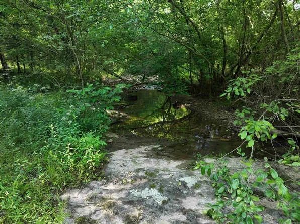 Ryan Rd, Oden, AR 71961