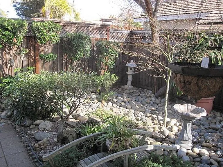 Backyard garden area