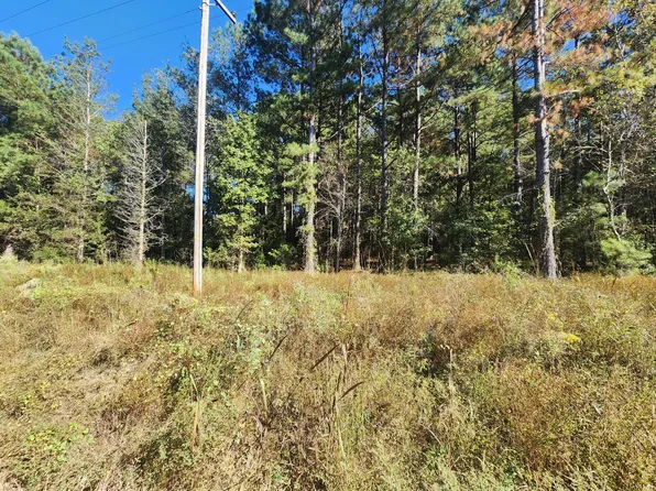 0 Ordie Rd, Saint George, SC 29477