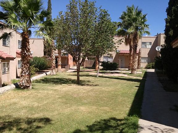 Beautiful Courtyard with Palm Trees