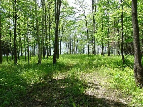 2nd image of N11030 E Shore Rd