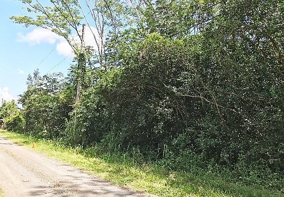 5th image of 18th Ave